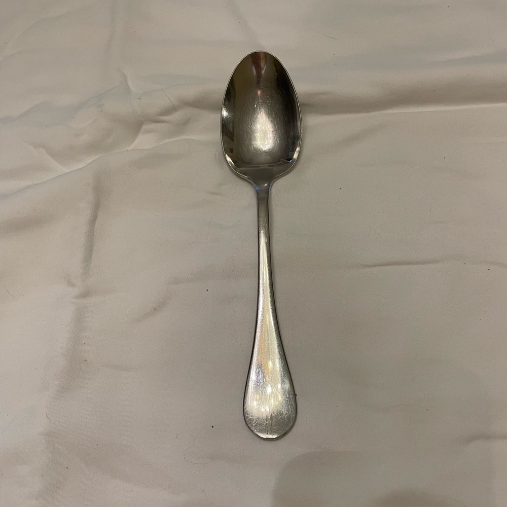 Christofle Capricorne Berry Table Spoon, Stainless